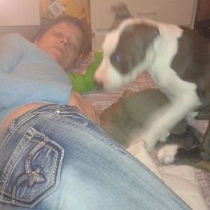 Meet your Posher, James